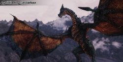 Мод для Skyrim — Новые драконы