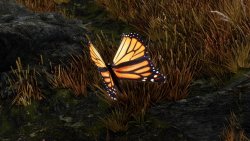 Мод для Skyrim — Реалистичные бабочки, мотыльки и светлячки