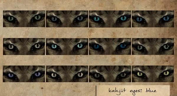 Улучшенные глаза Скайрима