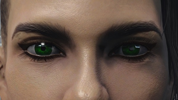 Eyes of Perfection - Fallout Edition
