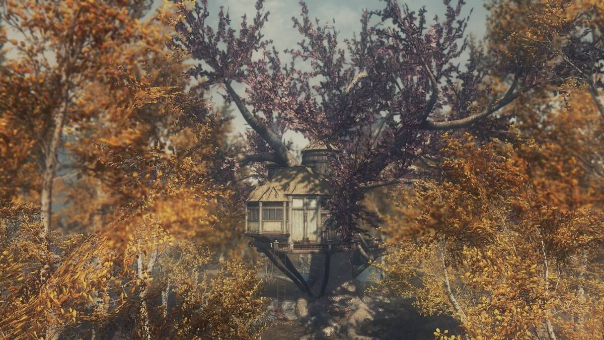 Дом лучника на дереве