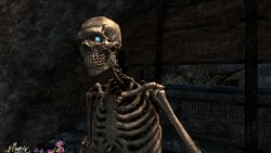 Мод для Skyrim — Ретекстуры скелетов HD